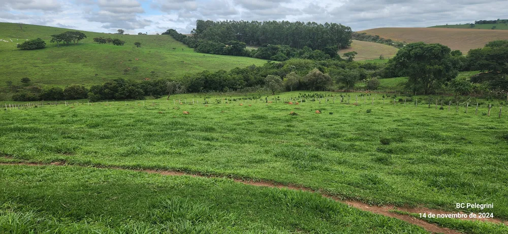 Fazenda, 3 quartos - Foto 8