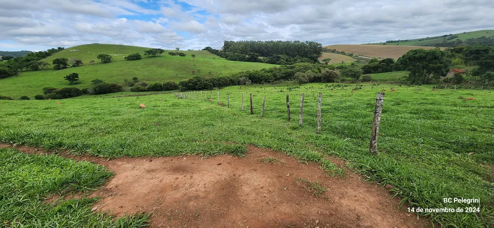 Fazenda, 3 quartos - Foto 6