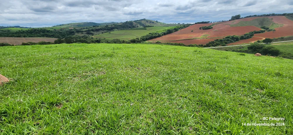 Fazenda, 3 quartos - Foto 1