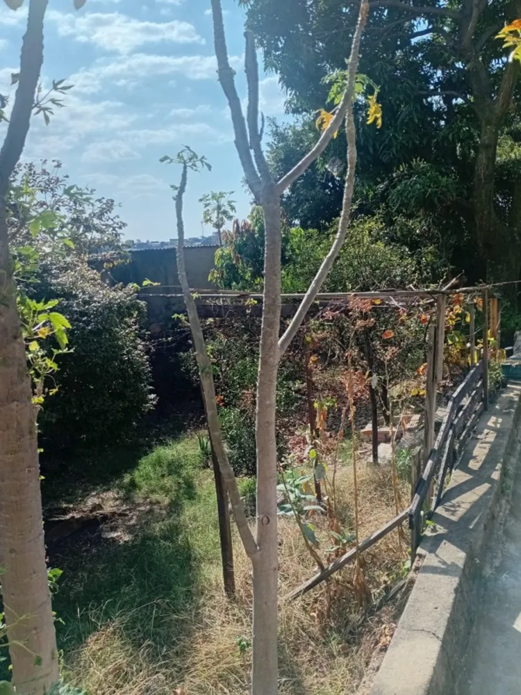 Casa, 3 quartos, 580 m² - Foto 2