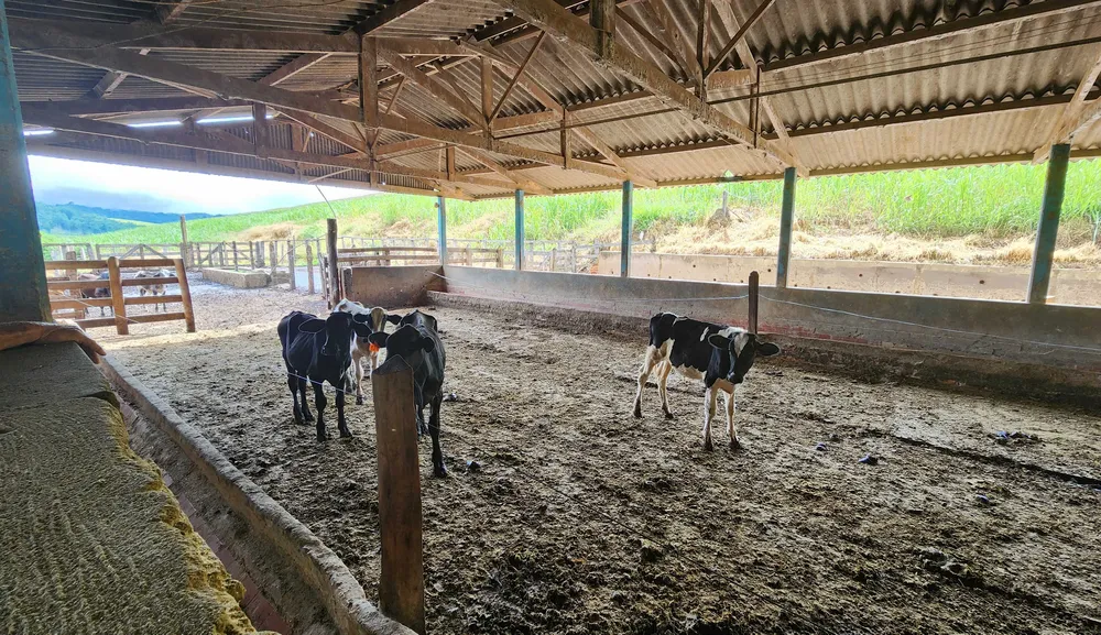 Fazenda, 78 hectares - Foto 2