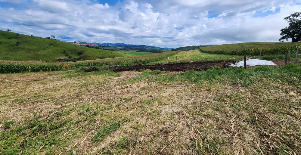 Fazenda, 78 hectares - Foto 9