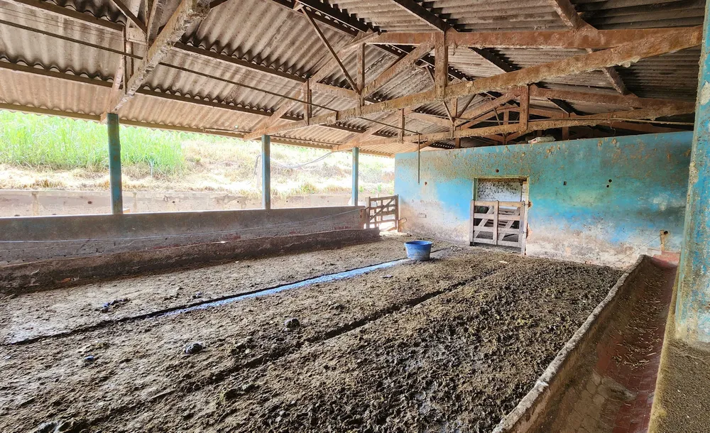 Fazenda, 78 hectares - Foto 3