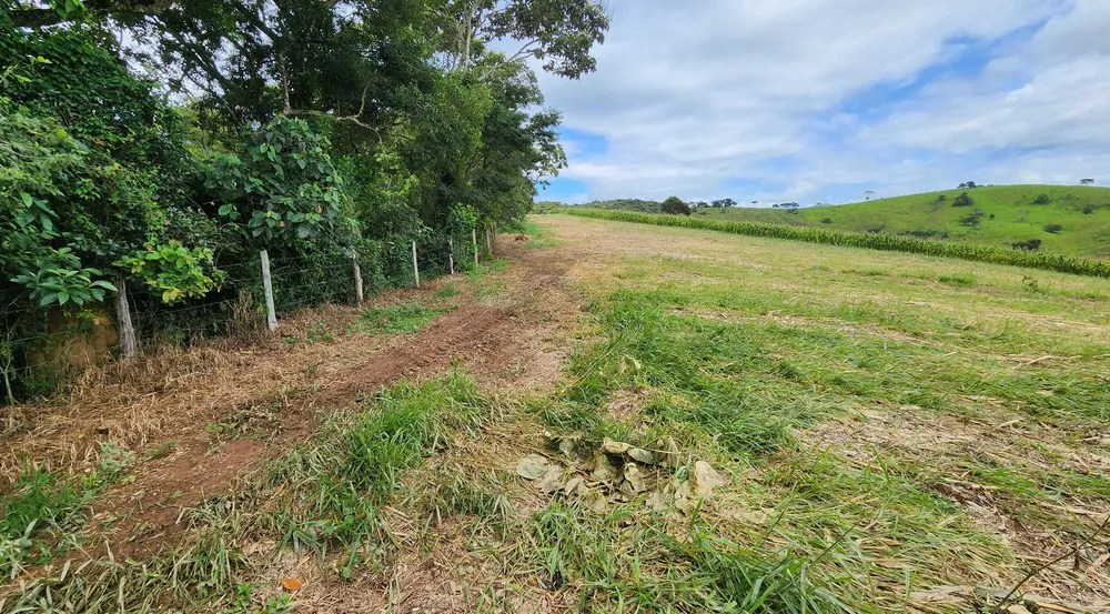 Fazenda, 78 hectares - Foto 12