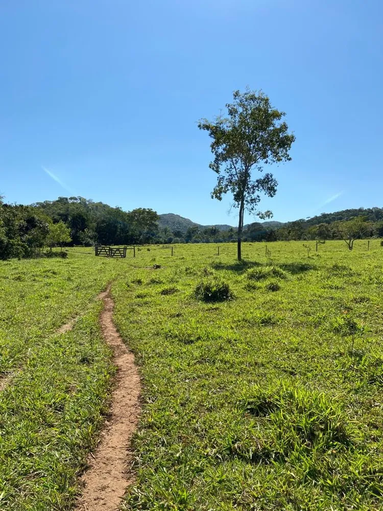Fazenda, 21217 hectares - Foto 1