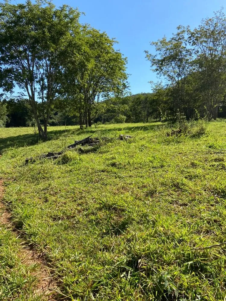 Fazenda, 21217 hectares - Foto 6