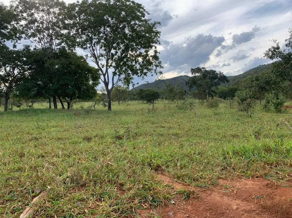 Fazenda, 21217 hectares - Foto 16