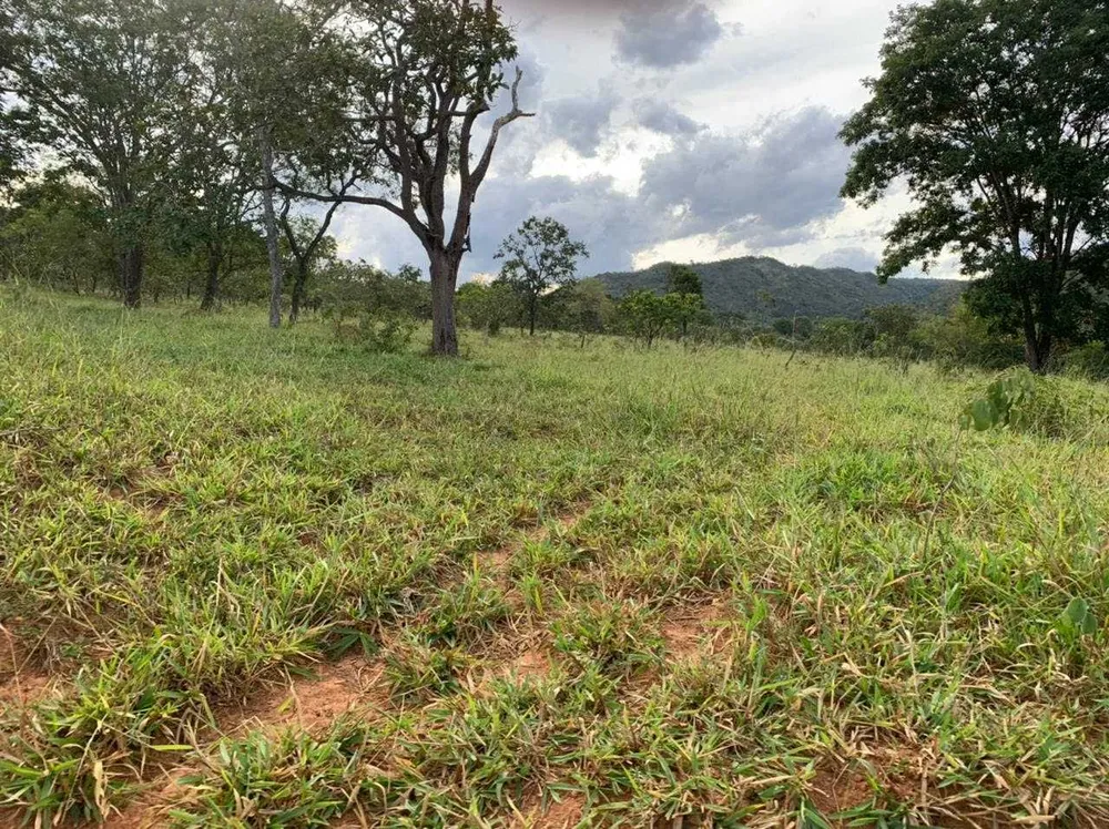 Fazenda, 21217 hectares - Foto 7
