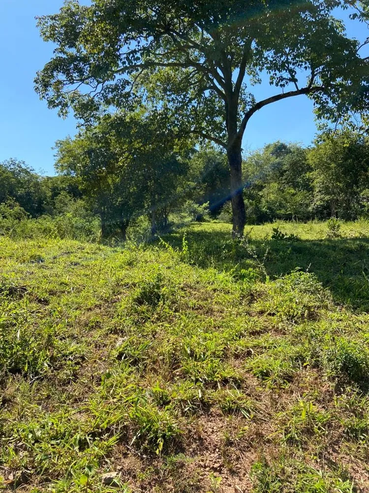 Fazenda, 21217 hectares - Foto 8