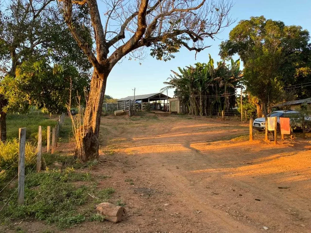 Fazenda, 21217 hectares - Foto 10