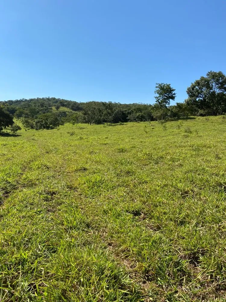 Fazenda, 21217 hectares - Foto 9