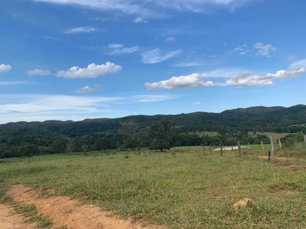 Fazenda, 21217 hectares - Foto 12