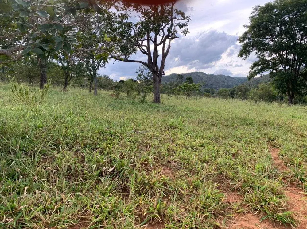 Fazenda, 21217 hectares - Foto 13