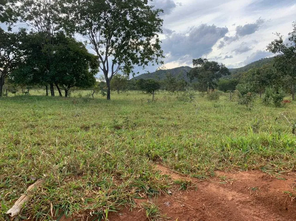 Fazenda, 21217 hectares - Foto 11