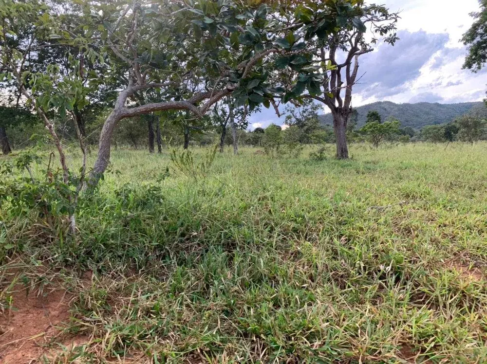 Fazenda, 21217 hectares - Foto 14
