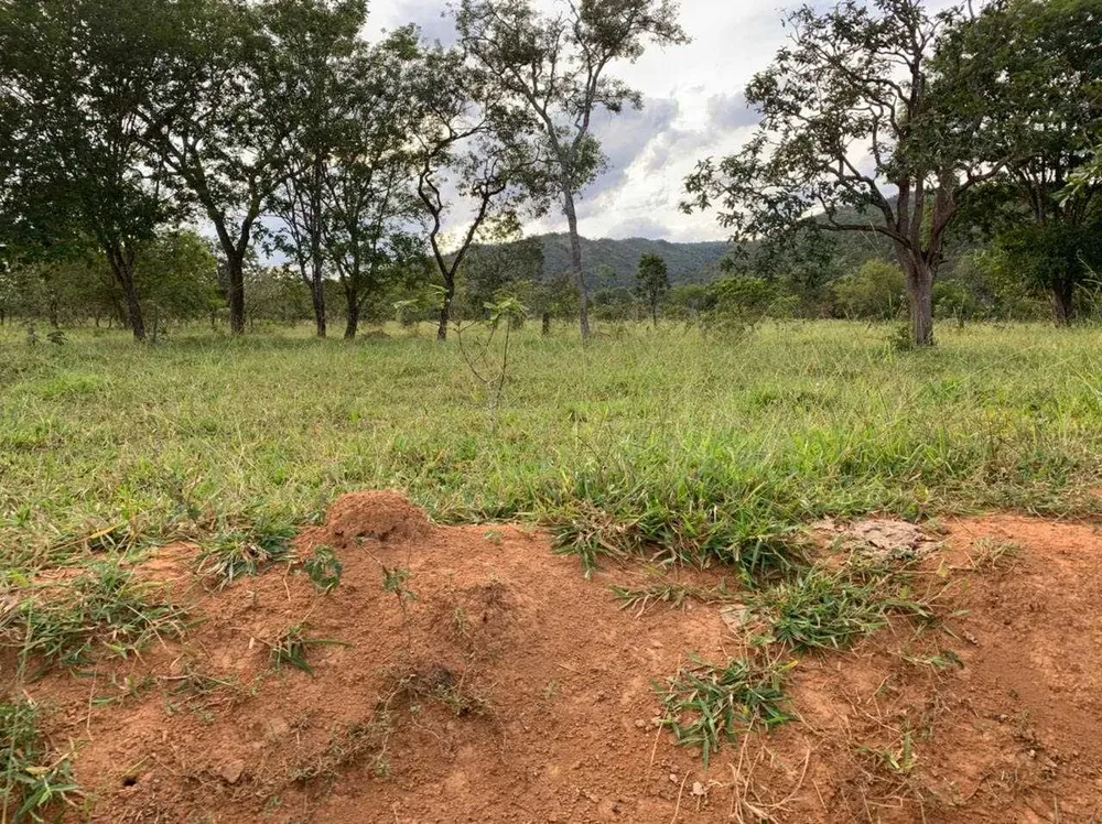 Fazenda, 21217 hectares - Foto 3