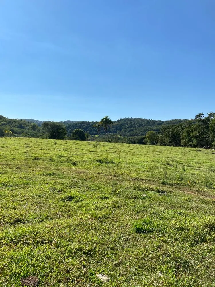 Fazenda, 21217 hectares - Foto 2