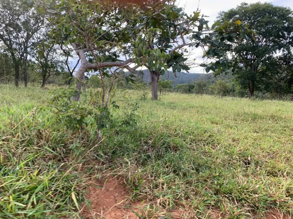 Fazenda, 21217 hectares - Foto 15