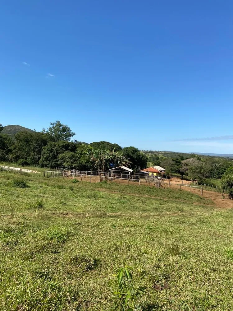 Fazenda, 21217 hectares - Foto 4