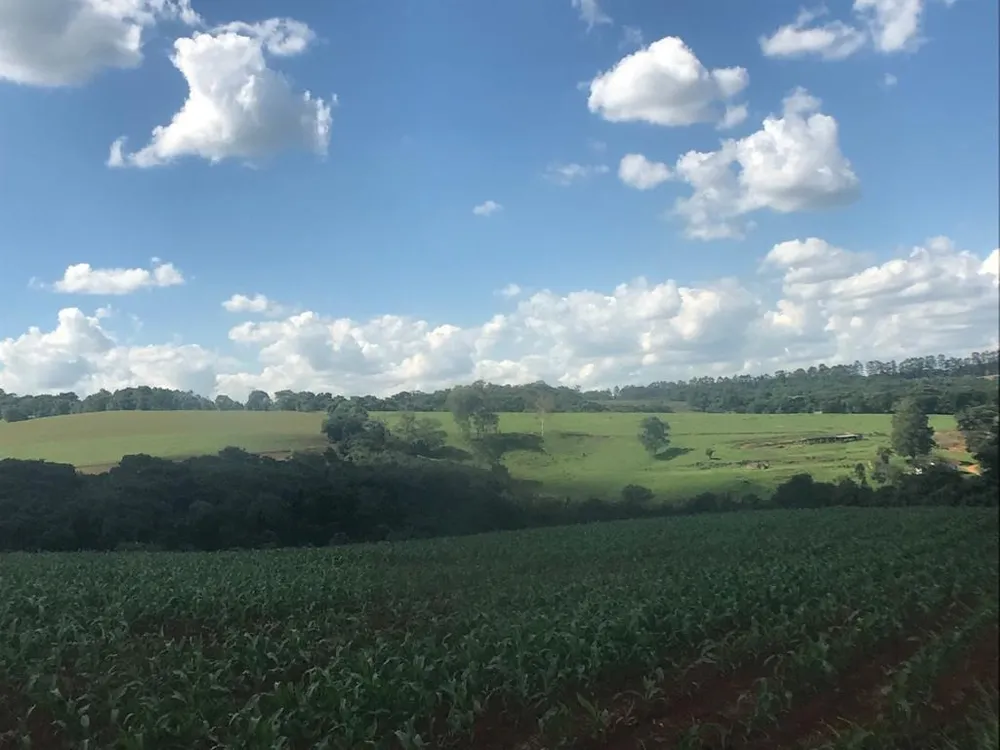 Fazenda, 5 hectares - Foto 13
