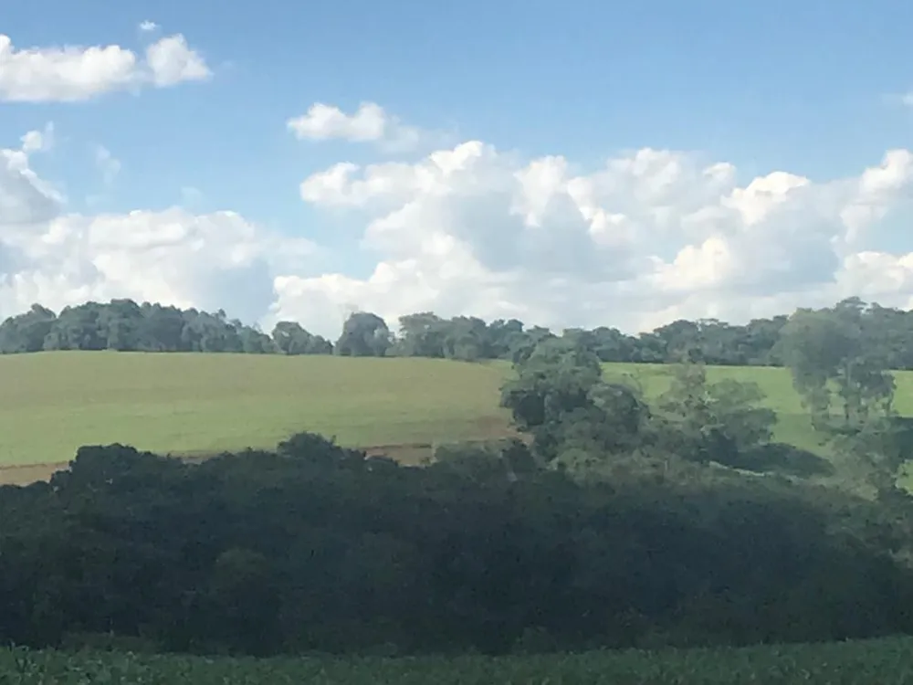 Fazenda, 5 hectares - Foto 7