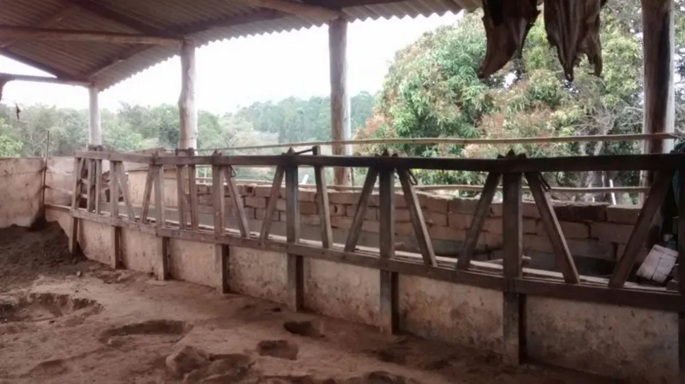 Fazenda, 5 hectares - Foto 9