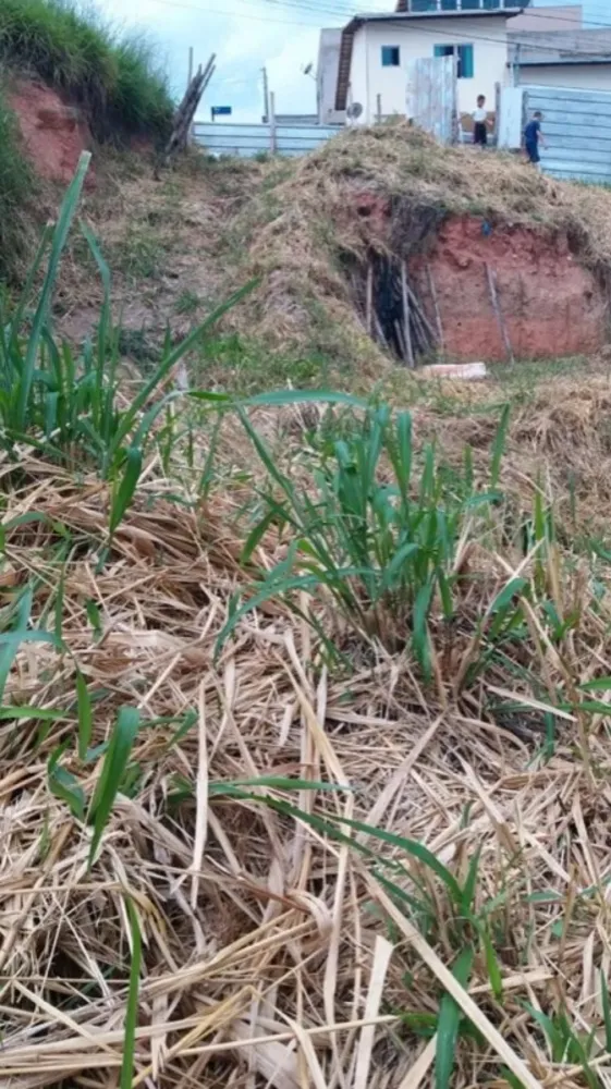 Terreno, 180 m² - Foto 6