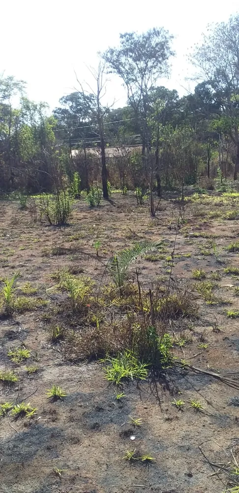 Terreno, 5000 m² - Foto 3