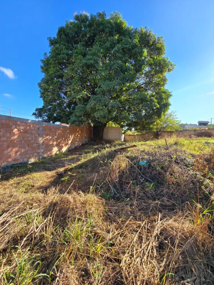 Terreno, 750 m² - Foto 4