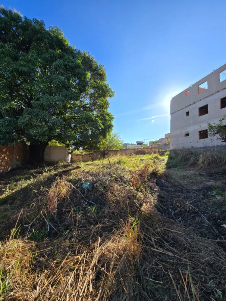 Terreno, 750 m² - Foto 5