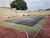 Terreno, 350 m² - Foto 3