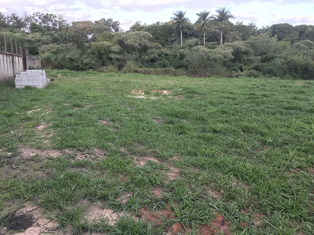Terreno, 5768 m² - Foto 6