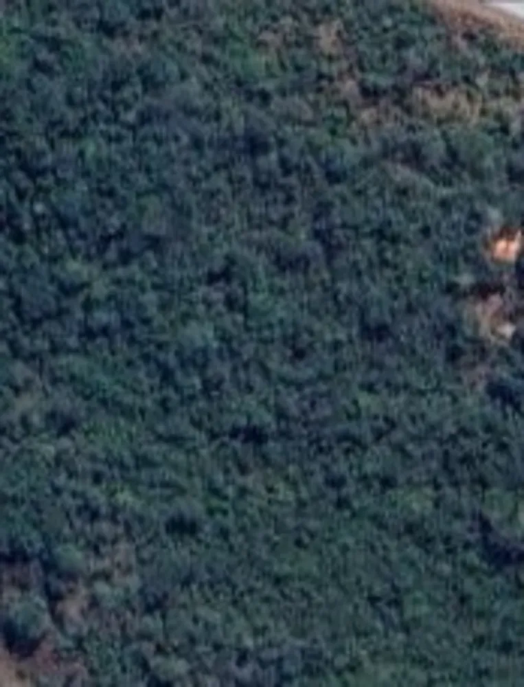 Terreno, 29000 m² - Foto 4