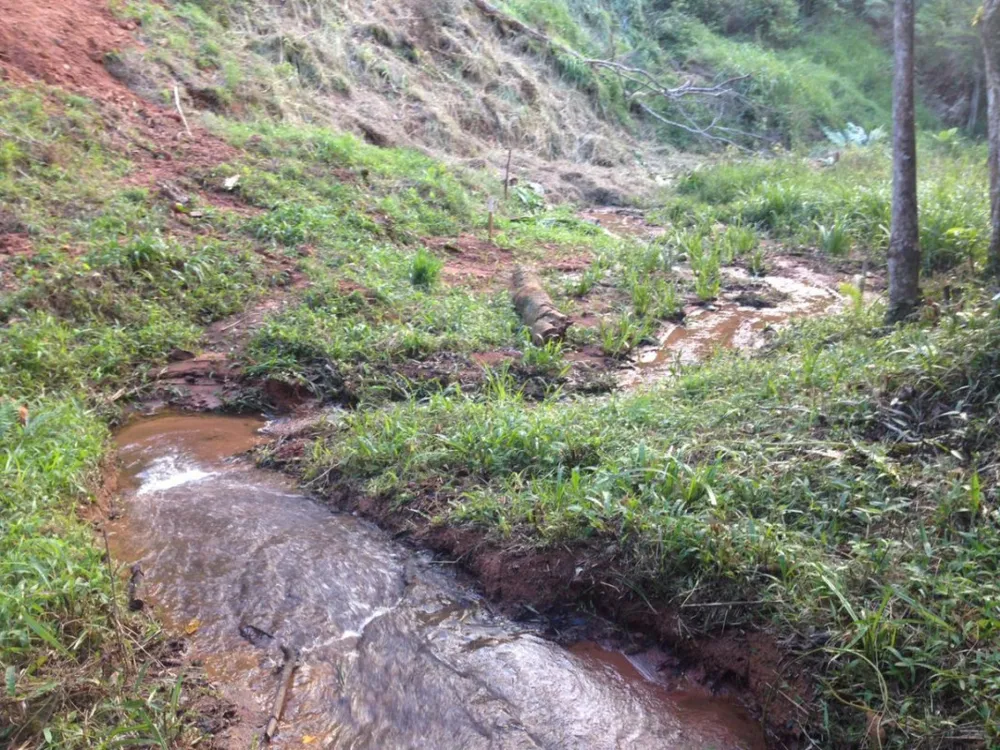 Sítio, 1 quarto, 11 hectares - Foto 7