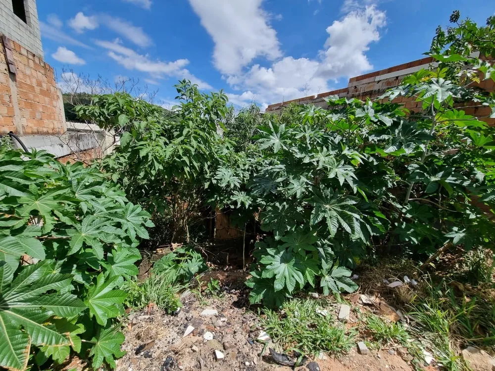 Terreno, 200 m² - Foto 3