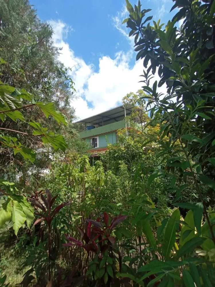Chácara, 7 quartos, 3200 m² - Foto 2