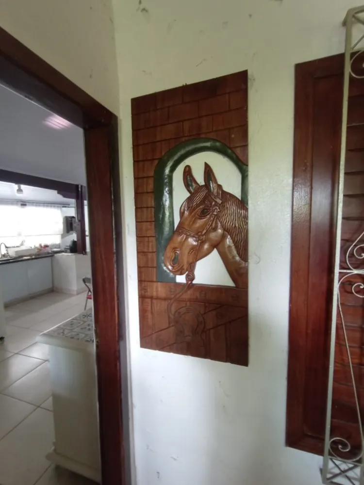 Chácara, 7 quartos, 3200 m² - Foto 6