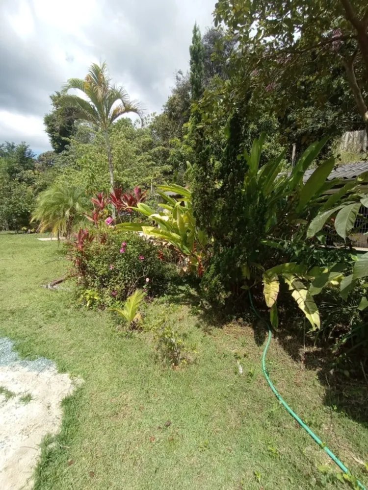Chácara, 7 quartos, 3200 m² - Foto 3
