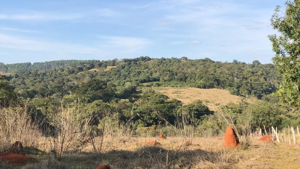 Chácara, 1 quarto - Foto 4