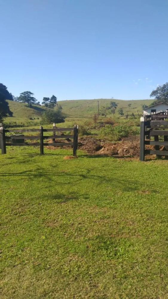 Chácara, 5 quartos - Foto 6
