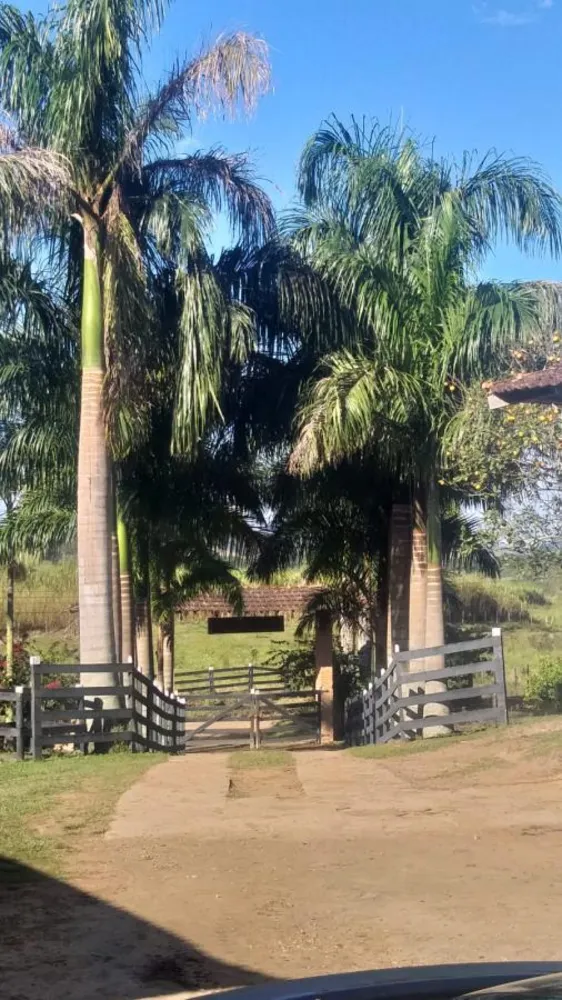 Chácara, 5 quartos - Foto 20