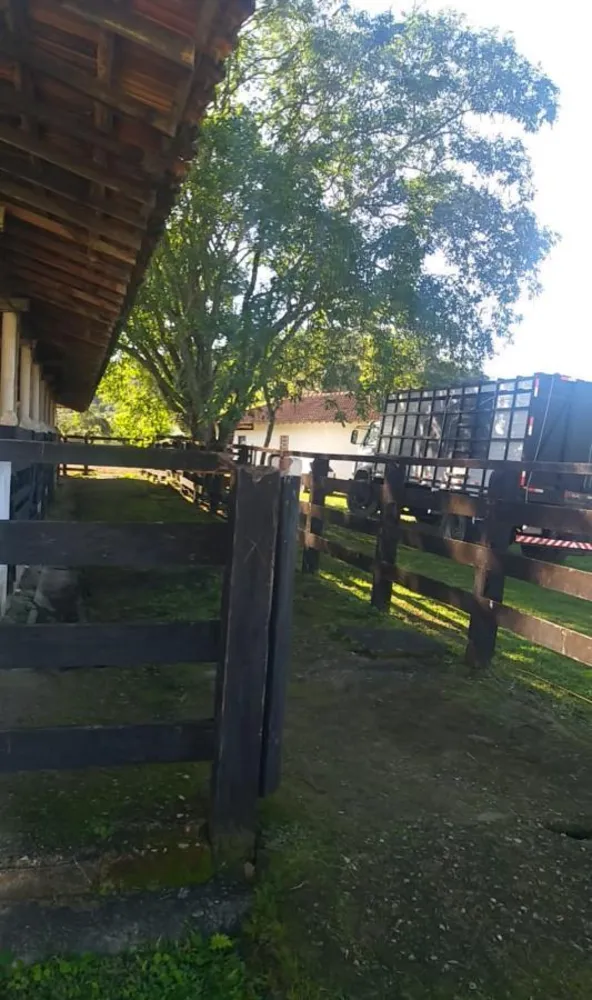 Chácara, 5 quartos - Foto 15