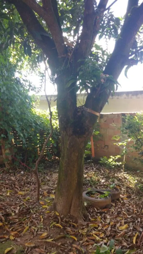 Casa, 3 quartos, 200 m² - Foto 12