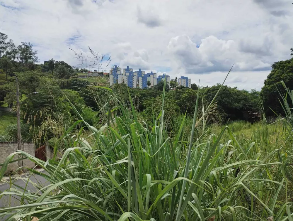 Terreno à venda, 6500m² - Foto 2