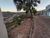 Terreno, 365 m² - Foto 3
