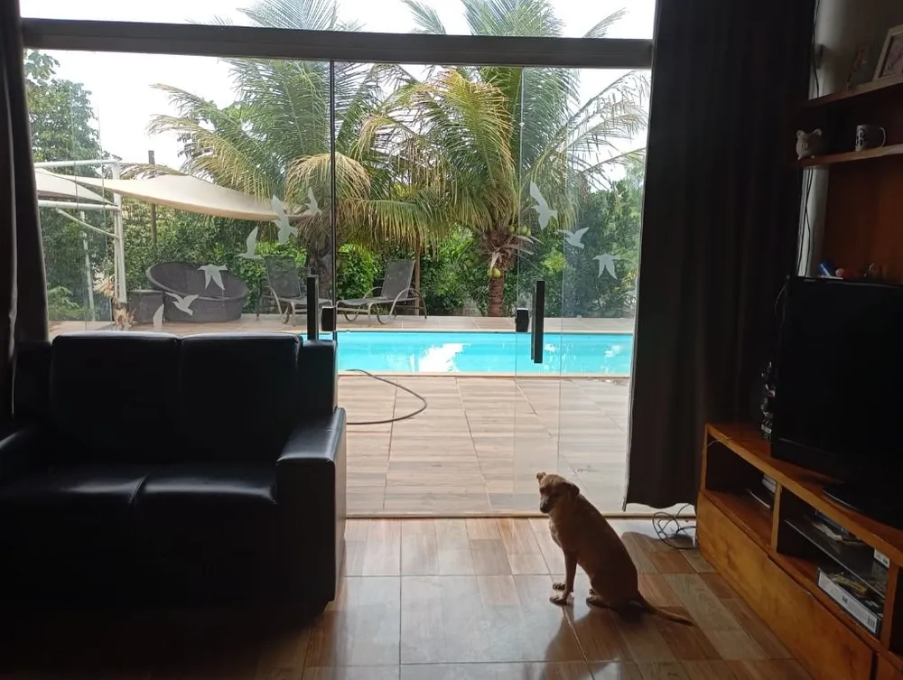 Chácara, 4 quartos - Foto 6