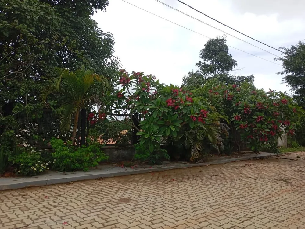 Sítio, 4 quartos, 1000 m² - Foto 15