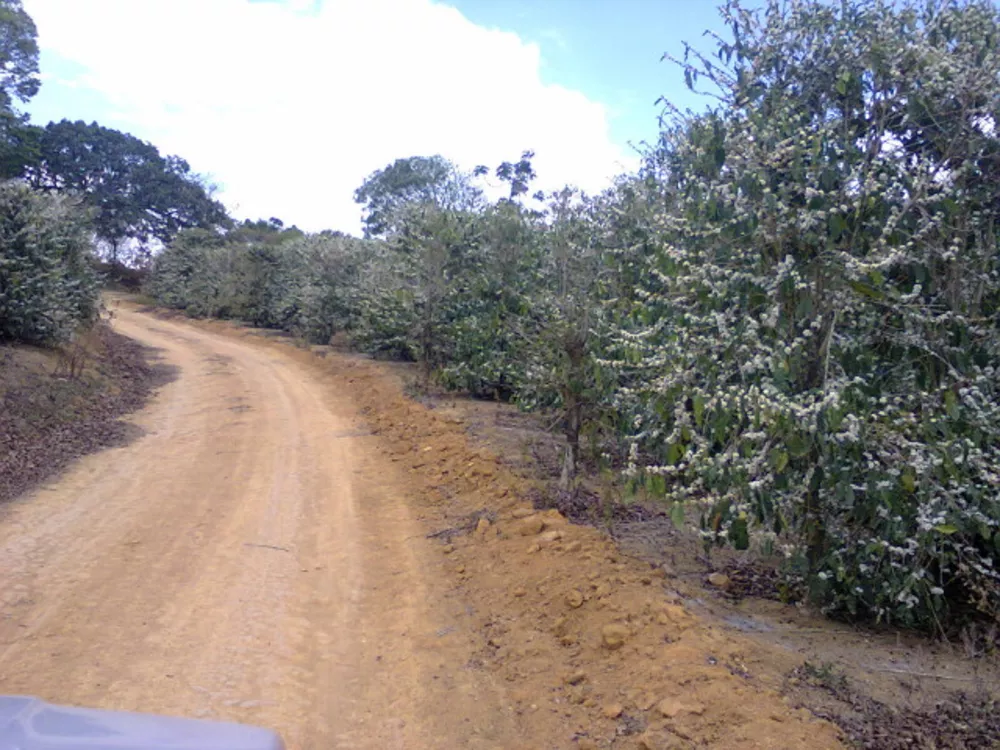 Chácara à venda com 4 quartos, 1500m² - Foto 14