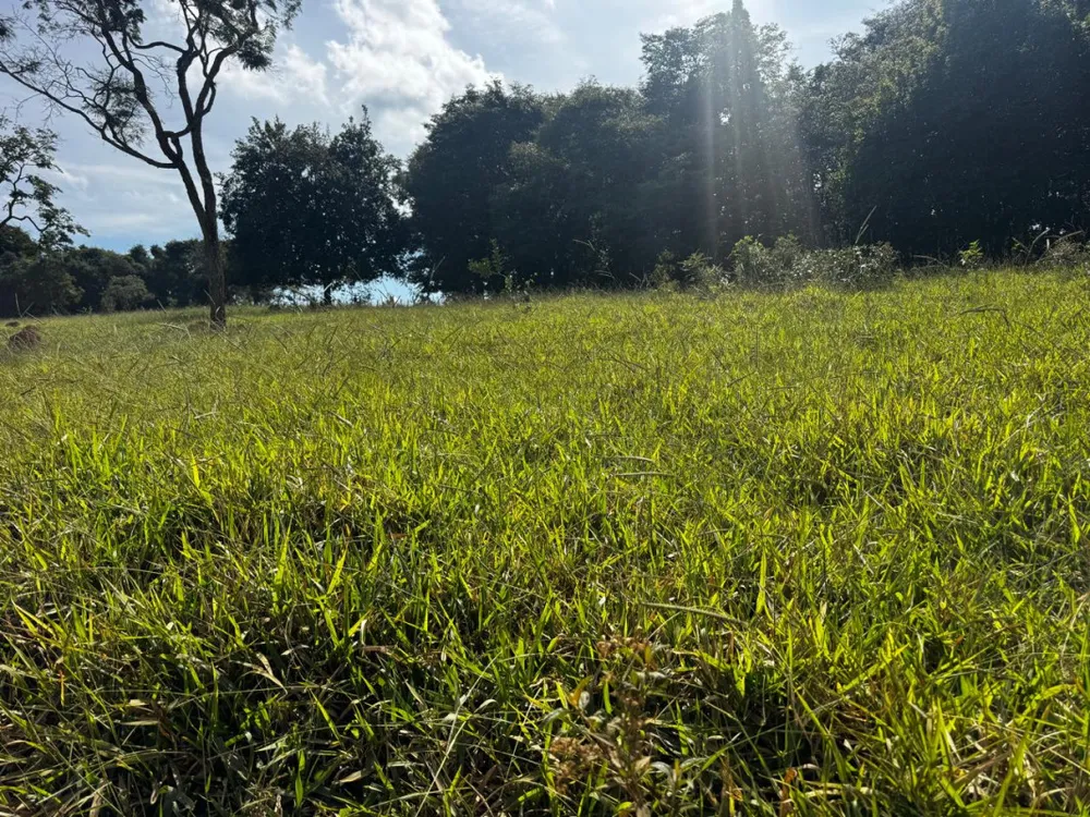 Terreno, 5000 m² - Foto 7