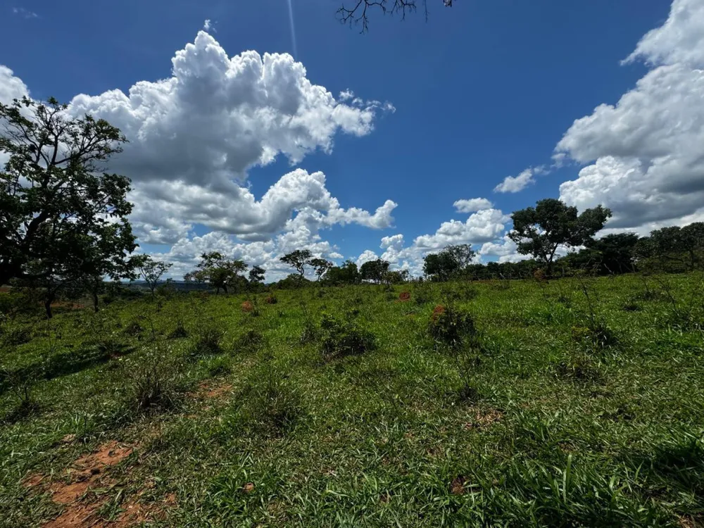 Terreno, 5000 m² - Foto 1